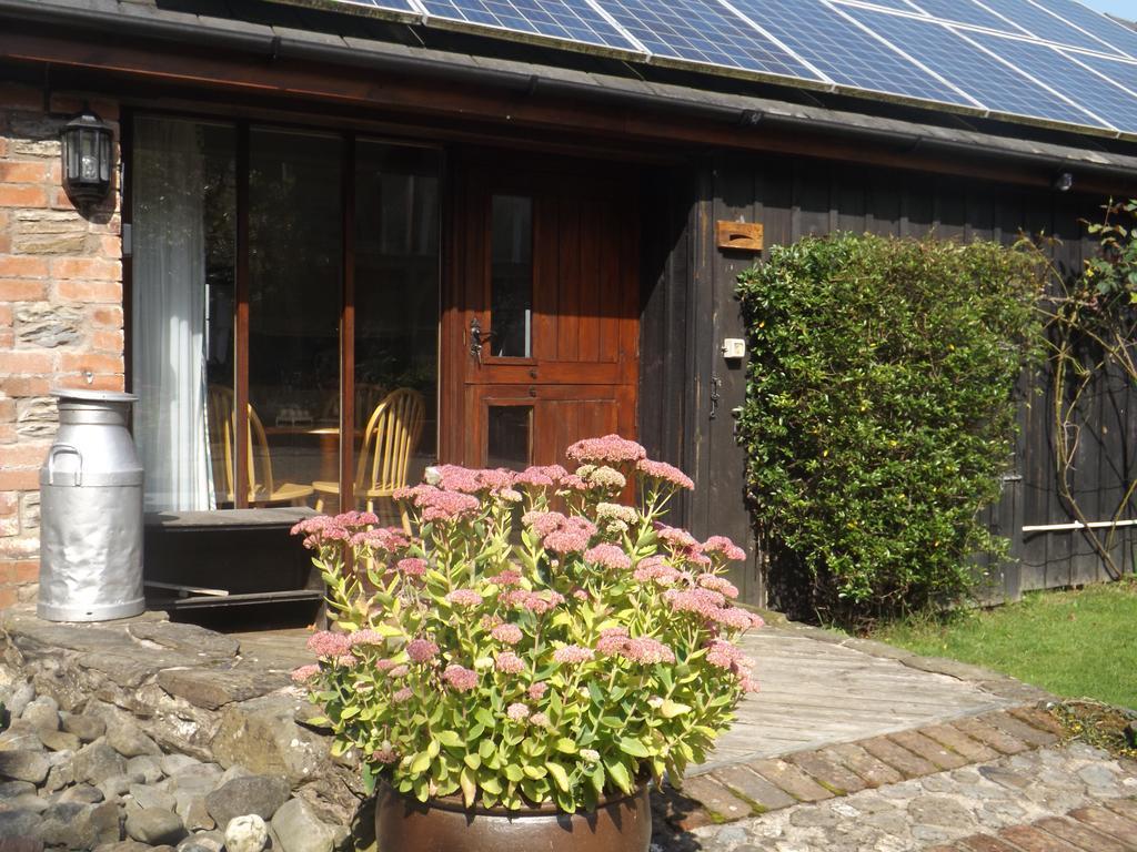 Irfon Cottage Builth Wells Zewnętrze zdjęcie